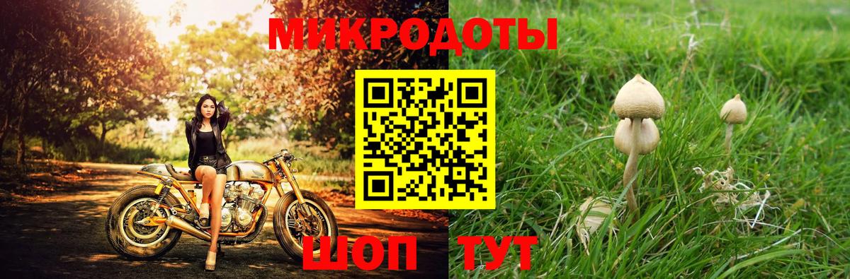 Псилоцибиновые грибы прущие грибы  Вход с VPN  Псилоцибиновые грибы GOLDEN TEACHER  Пятигорск 