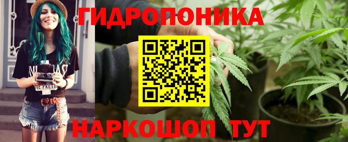 МДМА  Пятигорск  Бошки Шишки  ТГК  Cocaine  Мефедрон   LSD-25  Гашиш  Вход с VPN  ГАШИШ  APVP СК кристаллы 